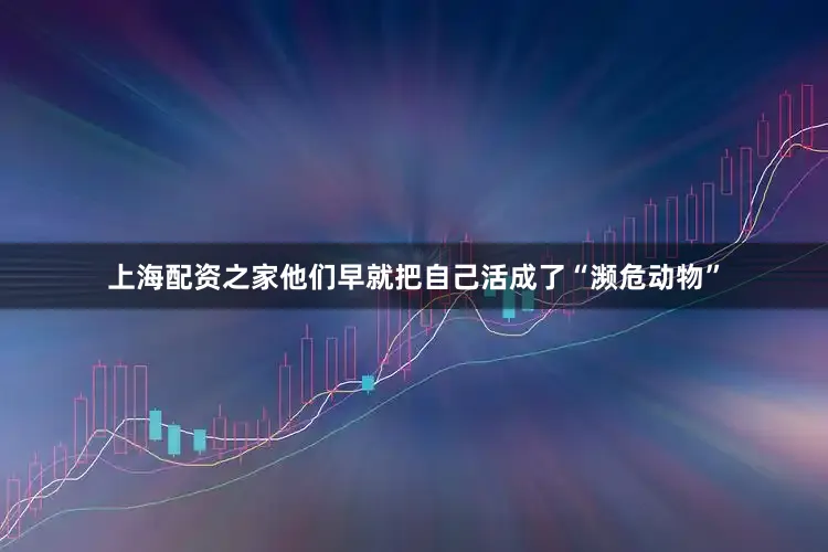 上海配资之家他们早就把自己活成了“濒危动物”